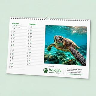 Show details for A4 Wall - 7 Leaf (single sided) Landscape with printed backing board - Design by us